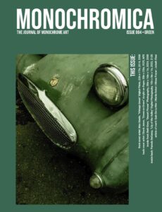 Monochromica-Karen Lehrer-Painting Feature Issue 004